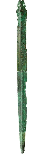 Metalldetektor am Baum